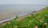 734 12.04   стоянка в урочище Тамбовское
